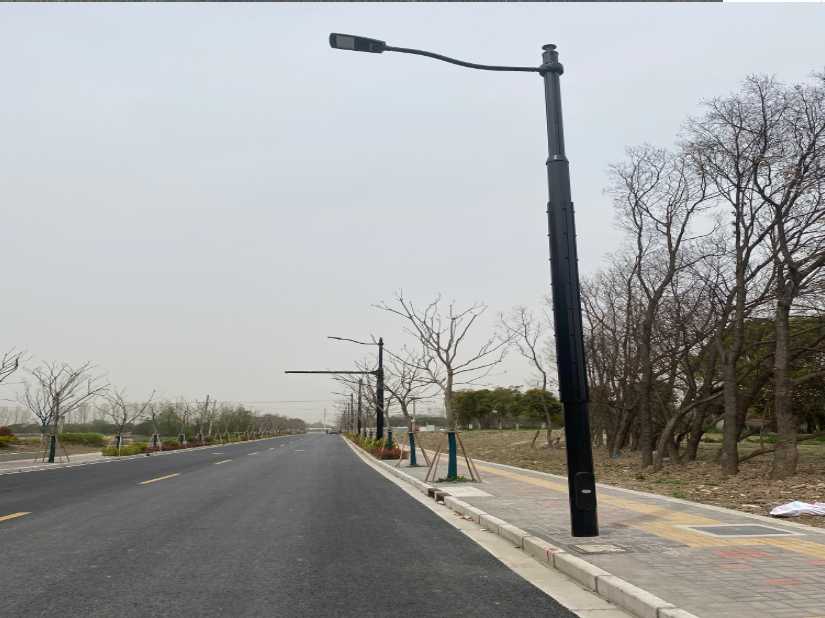 永安市上海综合杆 太阳能路灯工程